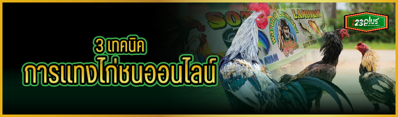 3 เทคนิคการแทงไก่ชนออนไลน์