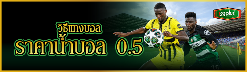 วิธีแทงบอล ราคาน้ำบอล 0.5